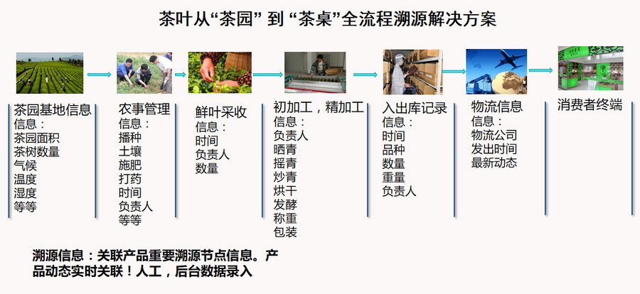 茶叶溯源01.jpeg